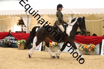 ERB-1608