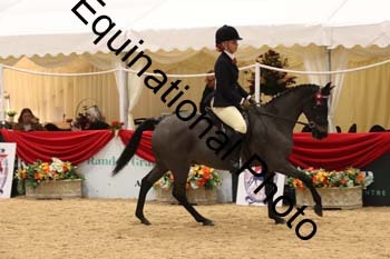 ERB-1623