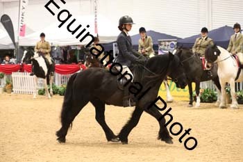 ERB-1637