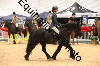 ERB-1638