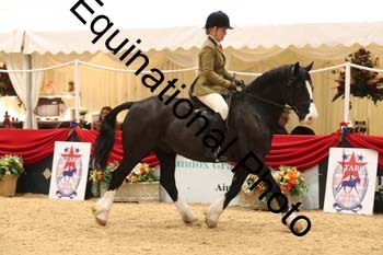 ERB-1643