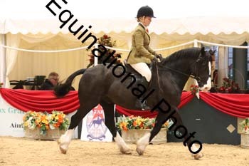 ERB-1644