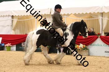 ERB-1651