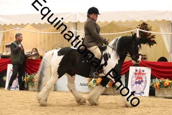 ERB-1652