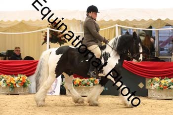 ERB-1653