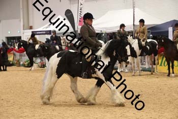 ERB-1656
