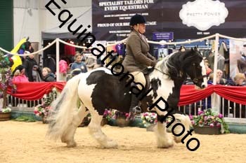 ERB-1659