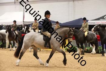 ERB-1666