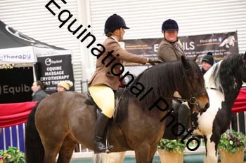 ERB-1833
