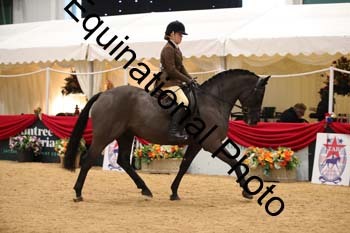 ERB-2003
