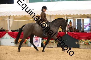 ERB-2004