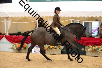 ERB-2011