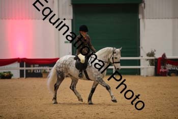ERB-2093