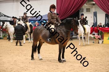 ERB-2101
