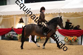 ERB-2104