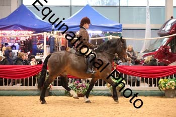 ERB-2107