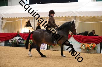 ERB-2116