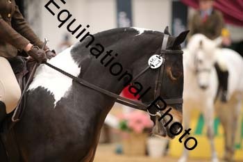 ERB-2208