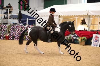 ERB-2217