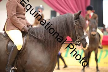 ERB-2353
