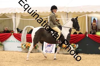 ERB-2539
