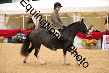 ERB-2642