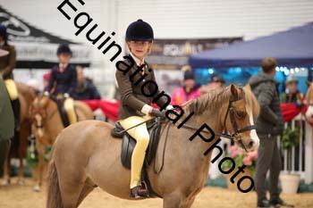ERB-2658