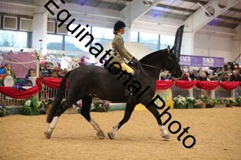ERB-2678