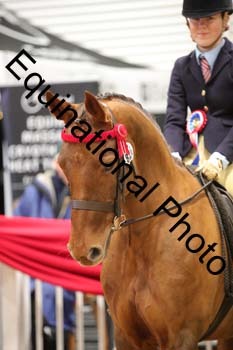 ERB-2866