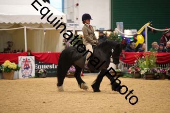 ERB-2895
