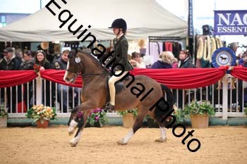 ERB-2989