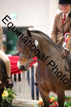 ERB-2998