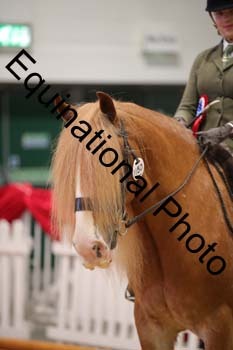 ERB-3015