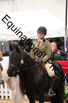 ERB-3049