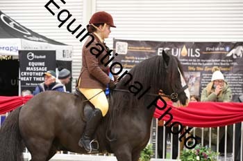 ERB-3073