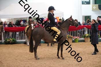 ERB-3277