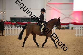 ERB-3299