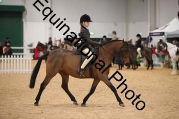 ERB-3301