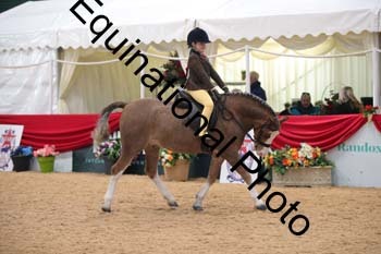 ERB-3308