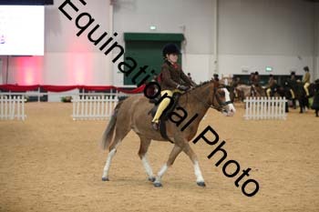 ERB-3316