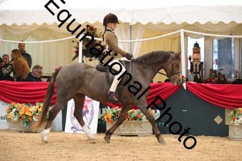 ERB-3343