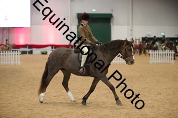 ERB-3349