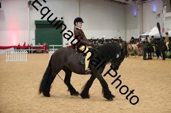 ERB-3364