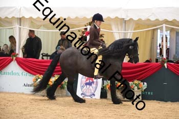 ERB-3367