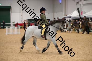 ERB-3382