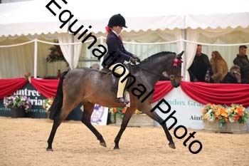ERB-3391