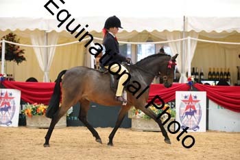 ERB-3393