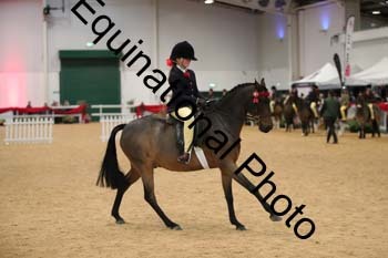 ERB-3399