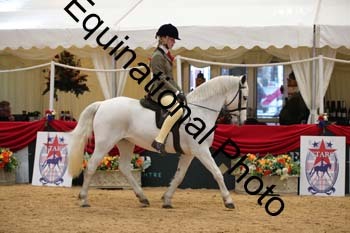 ERB-3426