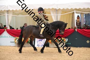 ERB-3439